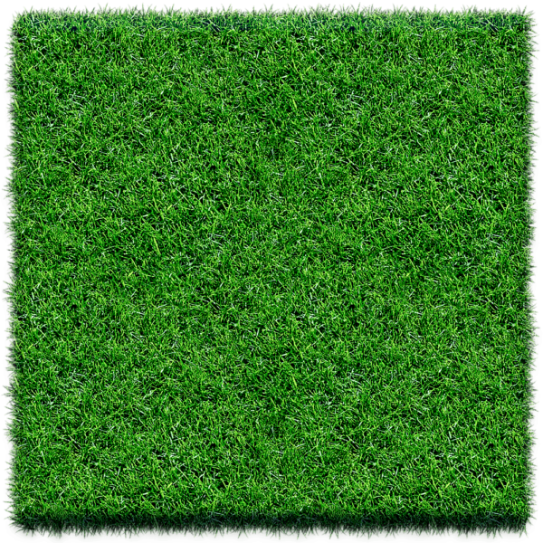 Fijn recreatie gras m²
4.3273

Webshop » Gras » Gazon